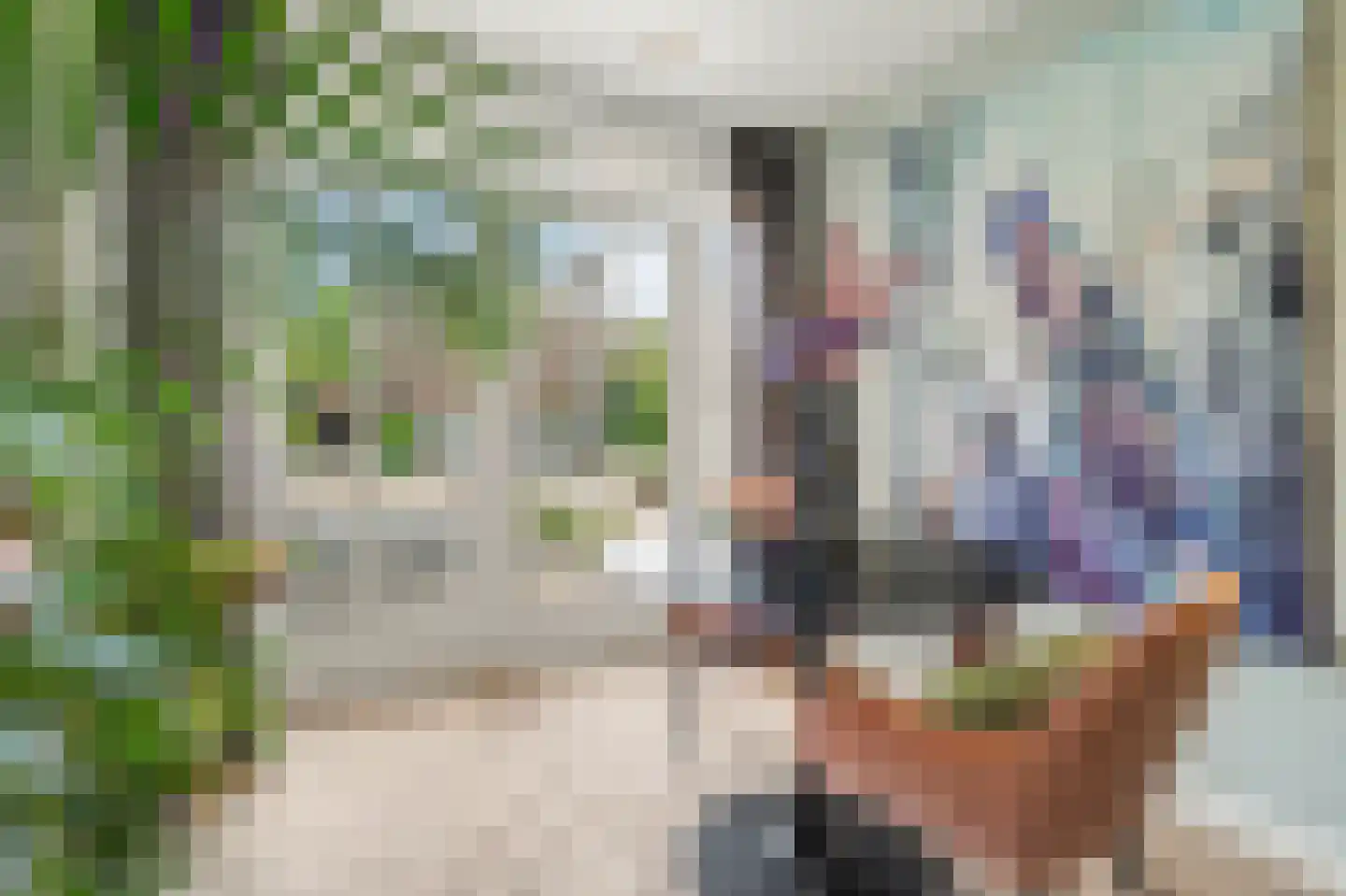 Monseigneur van Kesselstraat 13 Vlijmen thumbnail 25