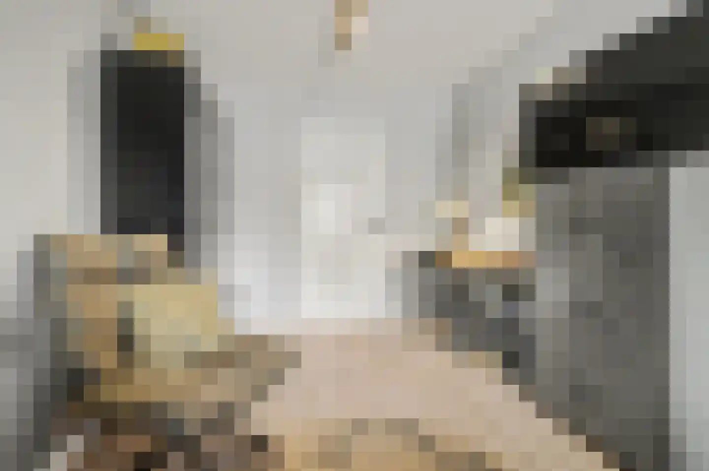 Monseigneur van Kesselstraat 13 Vlijmen thumbnail 41