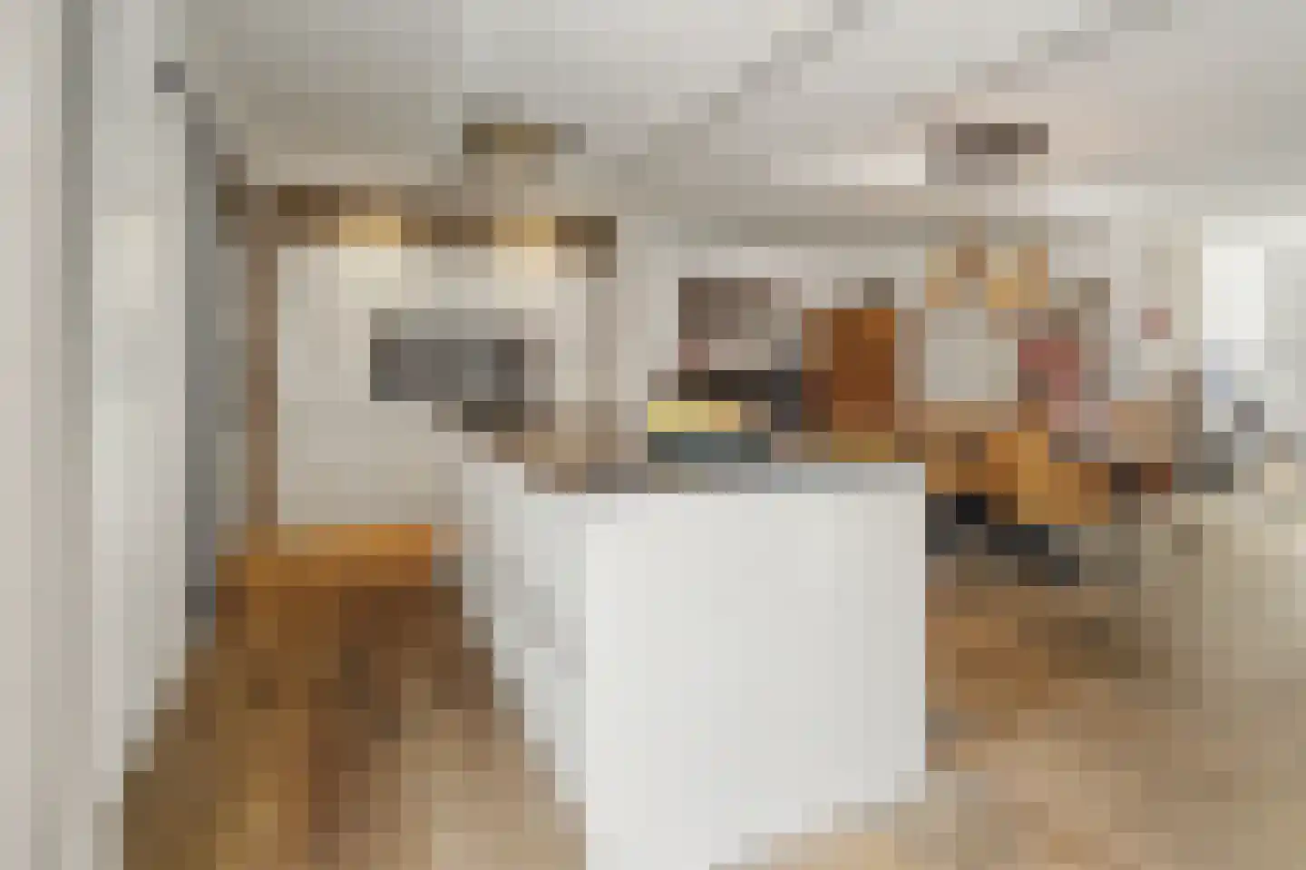 Monseigneur van Kesselstraat 13 Vlijmen thumbnail 5