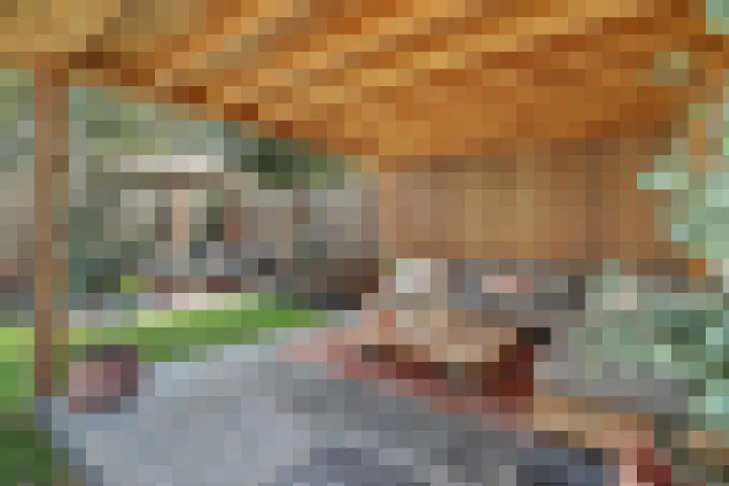 Monseigneur van Kesselstraat 13 Vlijmen thumbnail 51