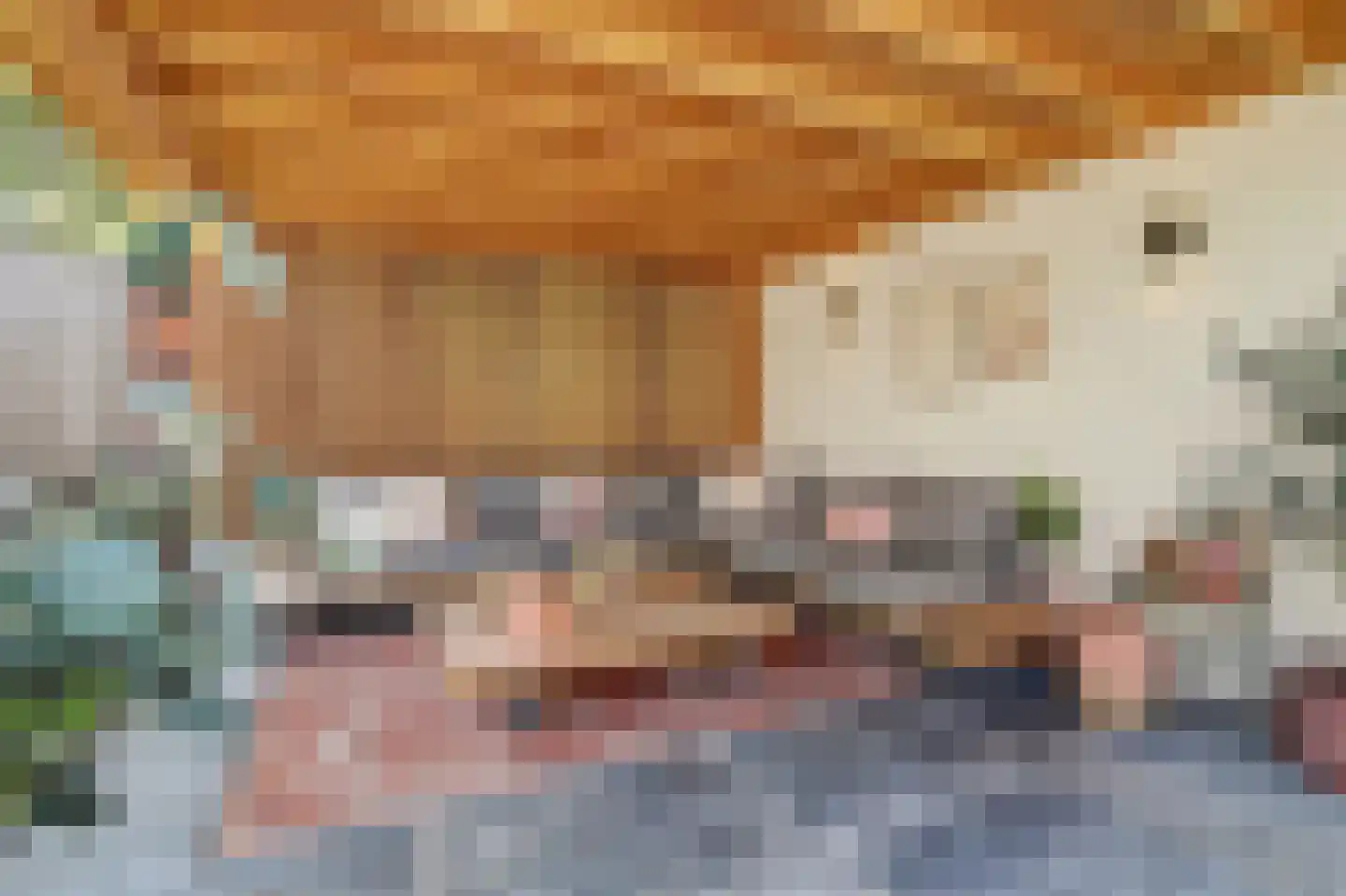 Monseigneur van Kesselstraat 13 Vlijmen thumbnail 52