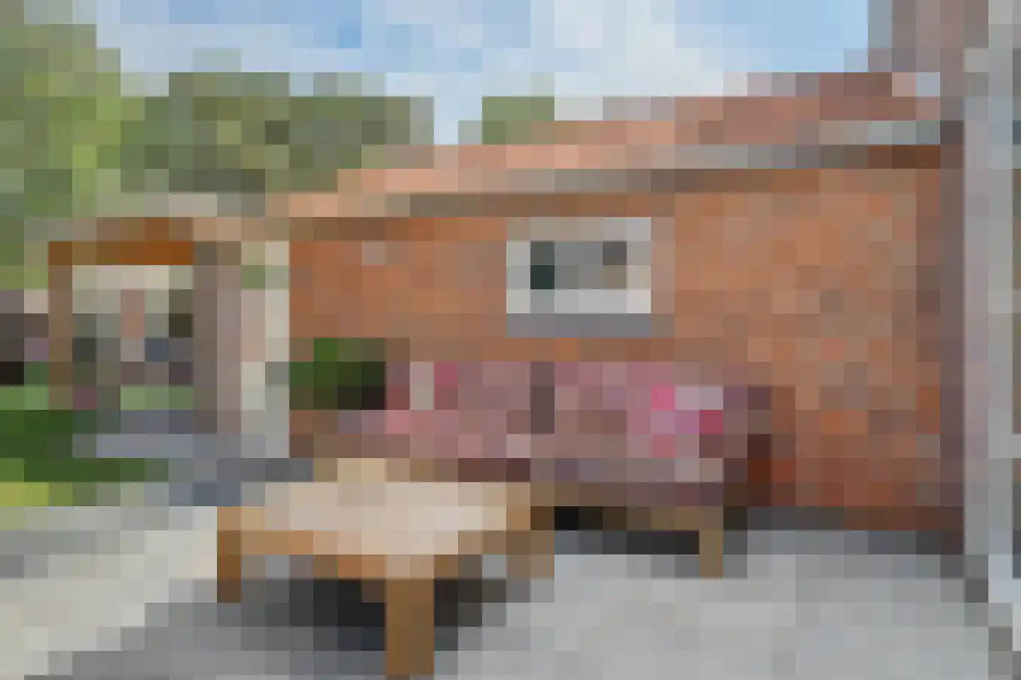 Monseigneur van Kesselstraat 13 Vlijmen thumbnail 58