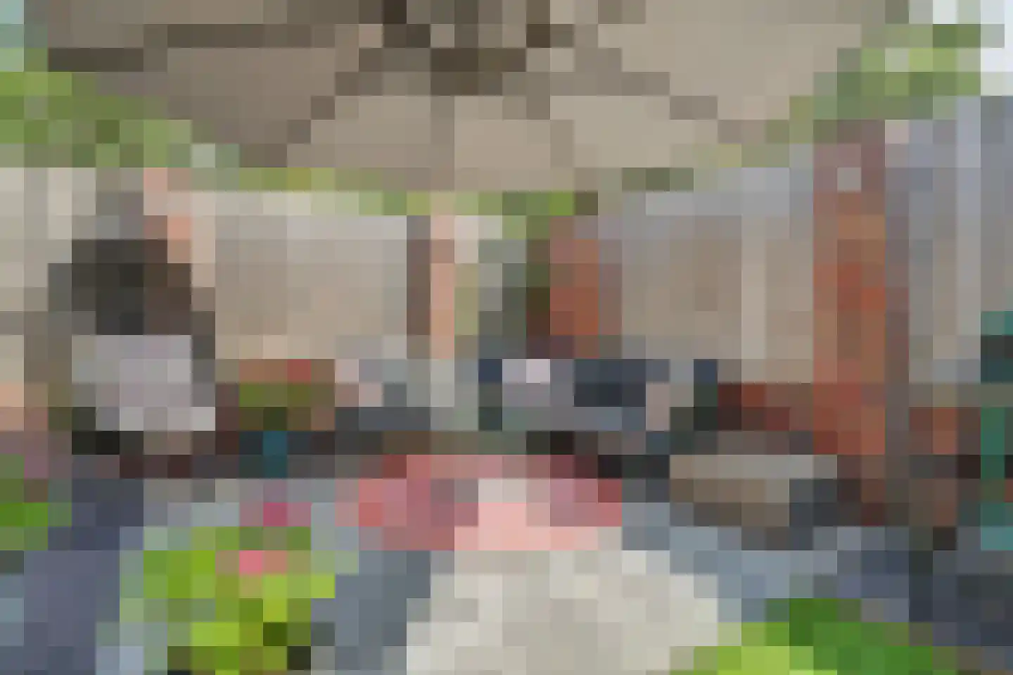 Monseigneur van Kesselstraat 13 Vlijmen thumbnail 59
