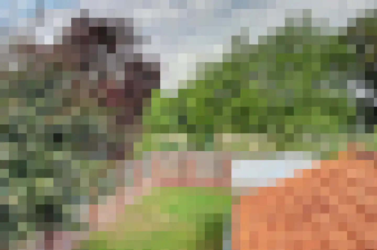 Monseigneur van Kesselstraat 13 Vlijmen thumbnail 63