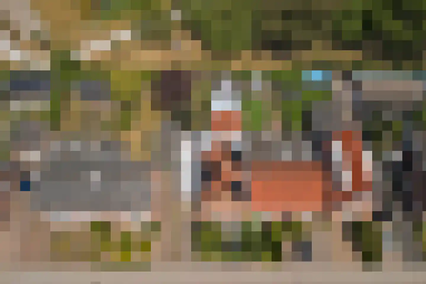 Monseigneur van Kesselstraat 13 Vlijmen thumbnail 66