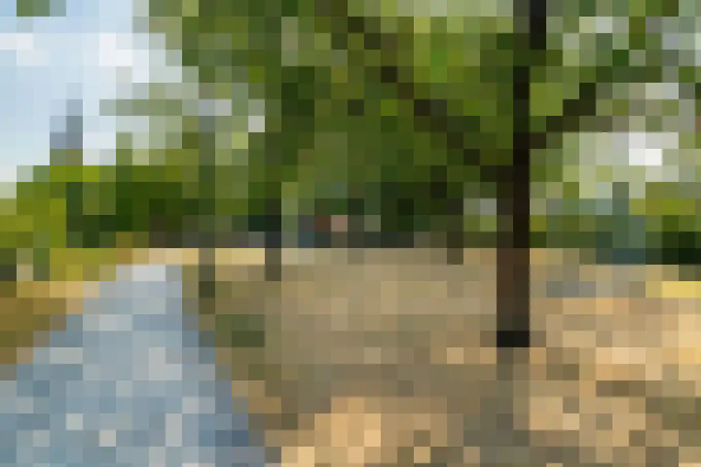 Monseigneur van Kesselstraat 2 C Vlijmen thumbnail 30