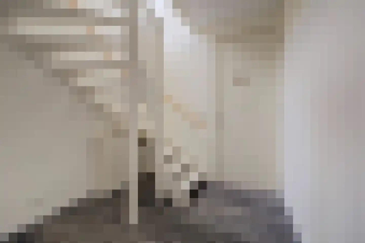 Monseigneur van Kesselstraat 2 D Vlijmen thumbnail 14