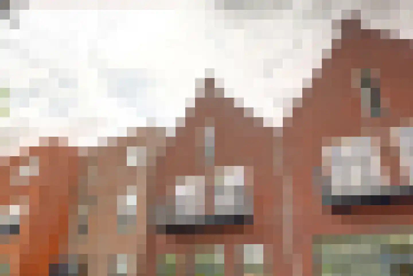 Monseigneur van Kesselstraat 2 D Vlijmen foto 3