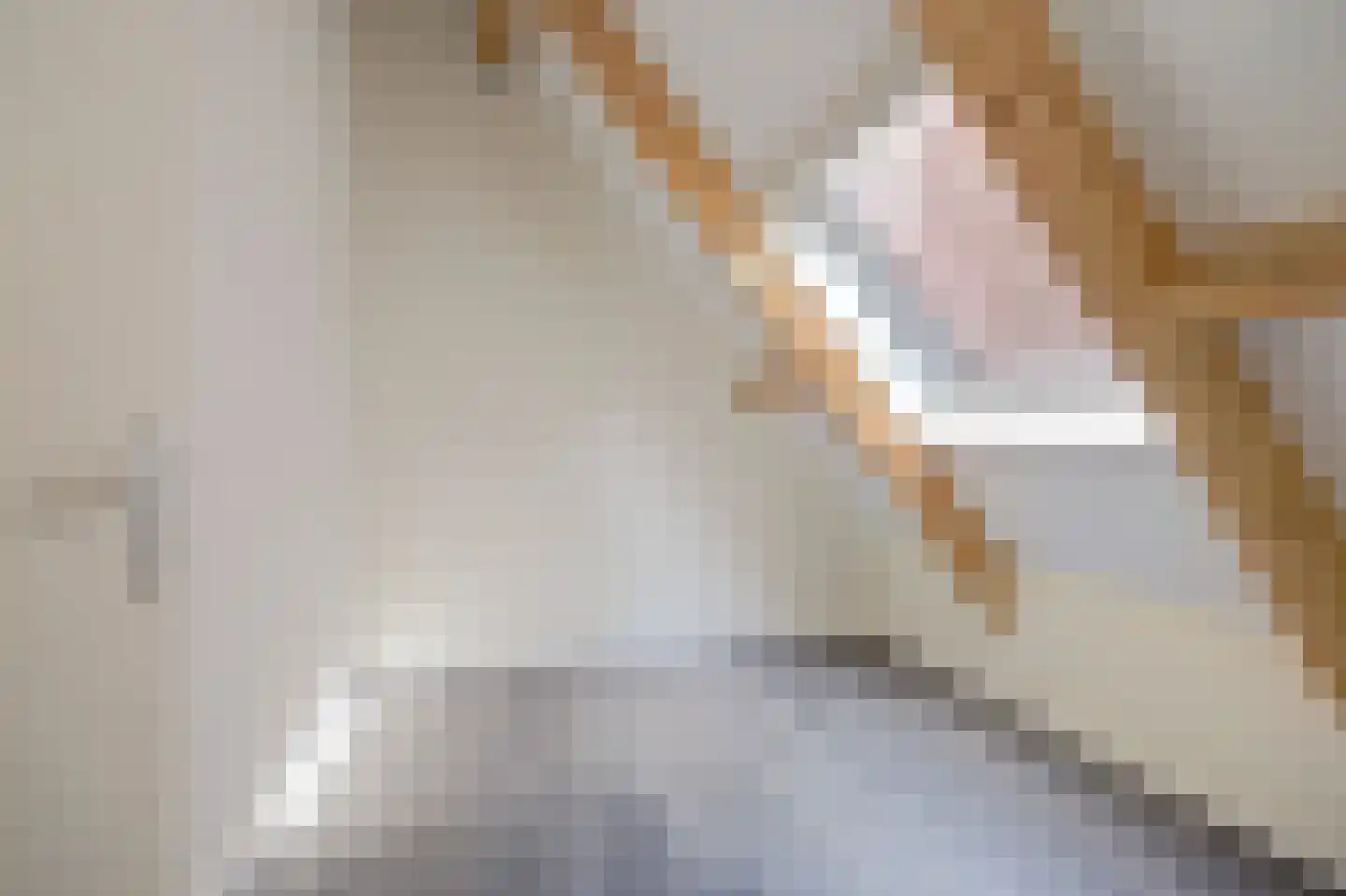 Monseigneur van Kesselstraat 2 D Vlijmen thumbnail 30