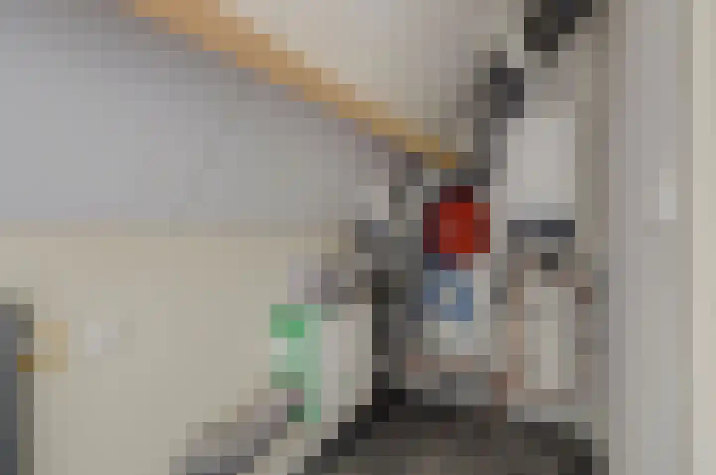 Monseigneur van Kesselstraat 2 D Vlijmen thumbnail 35