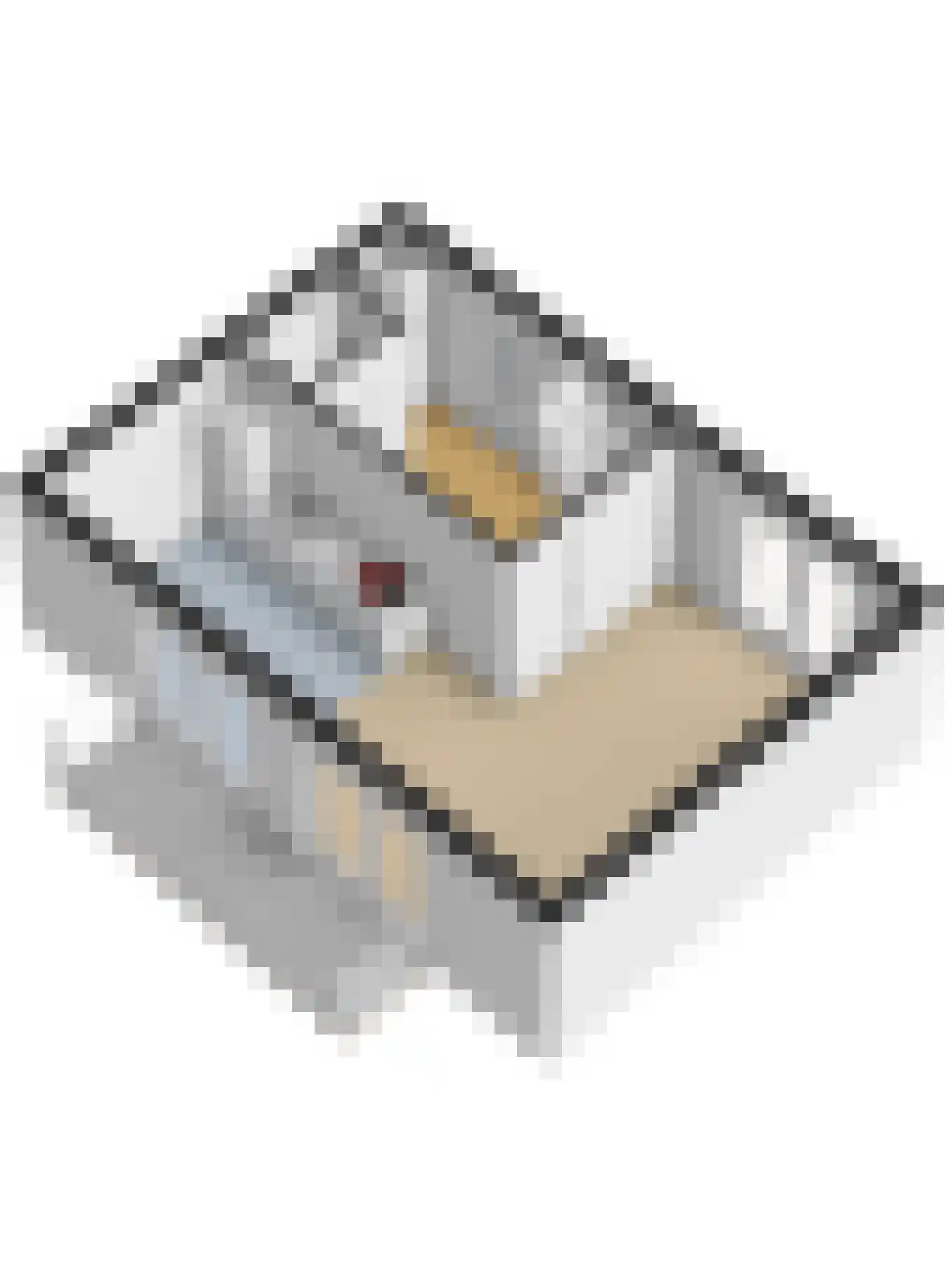 Monseigneur van Kesselstraat 2 D Vlijmen thumbnail 45