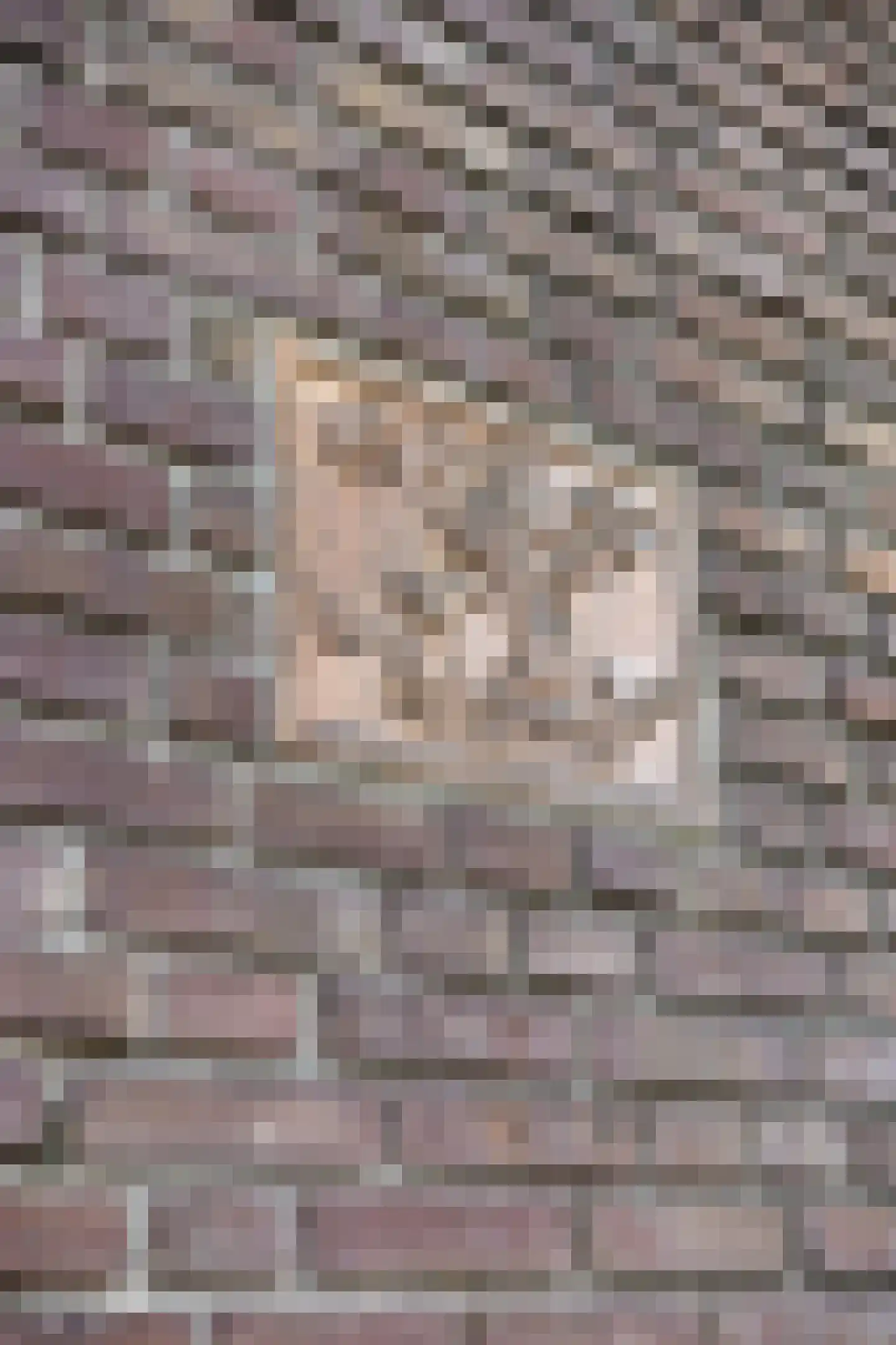 Monseigneur van Oorschotstraat 25 Heeswijk-Dinther thumbnail 12