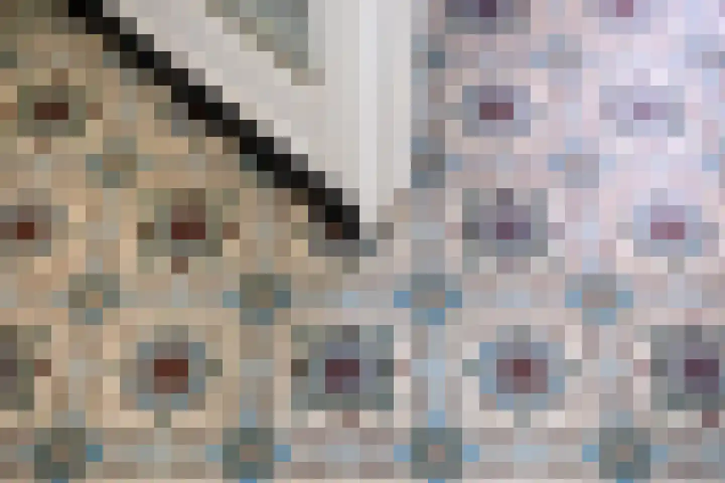 Monseigneur van Oorschotstraat 25 Heeswijk-Dinther thumbnail 9