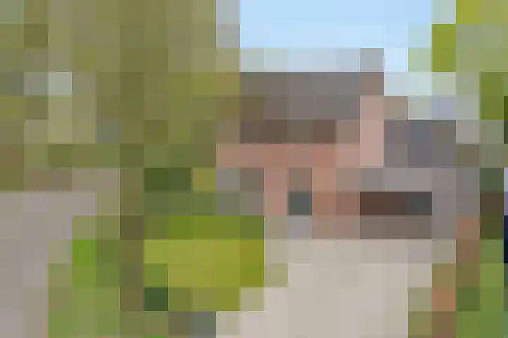 Monseigneur van Oorschotstraat 30 en Heeswijk-Dinther