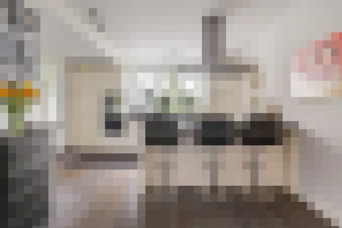 Monseigneur van Oorschotstraat 32 Heeswijk-Dinther thumbnail 18