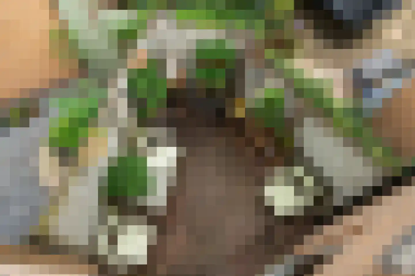 Monseigneur van Steelaan 1 Voorburg thumbnail 23