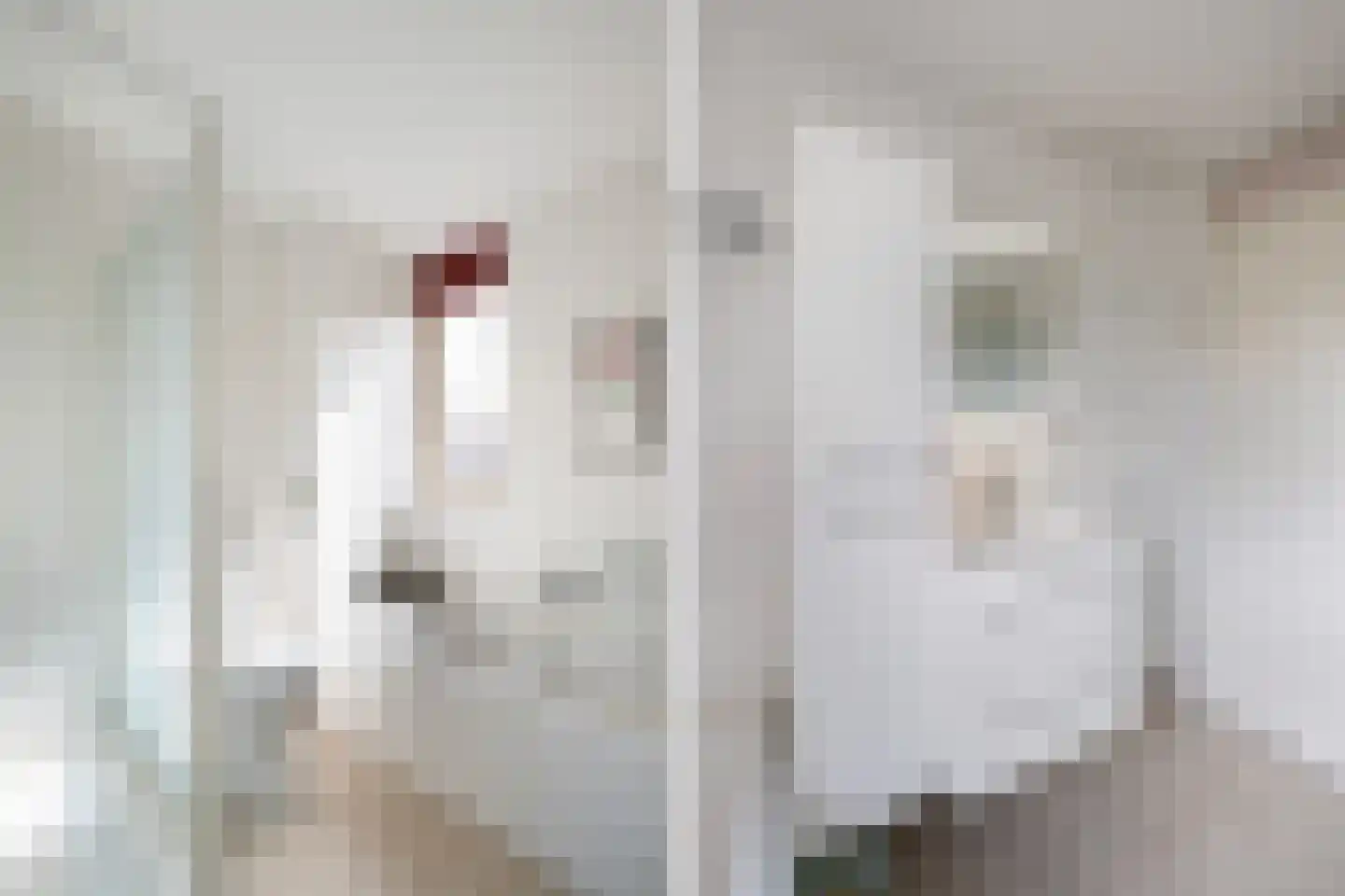 Monseigneur van Steelaan 1 Voorburg thumbnail 41