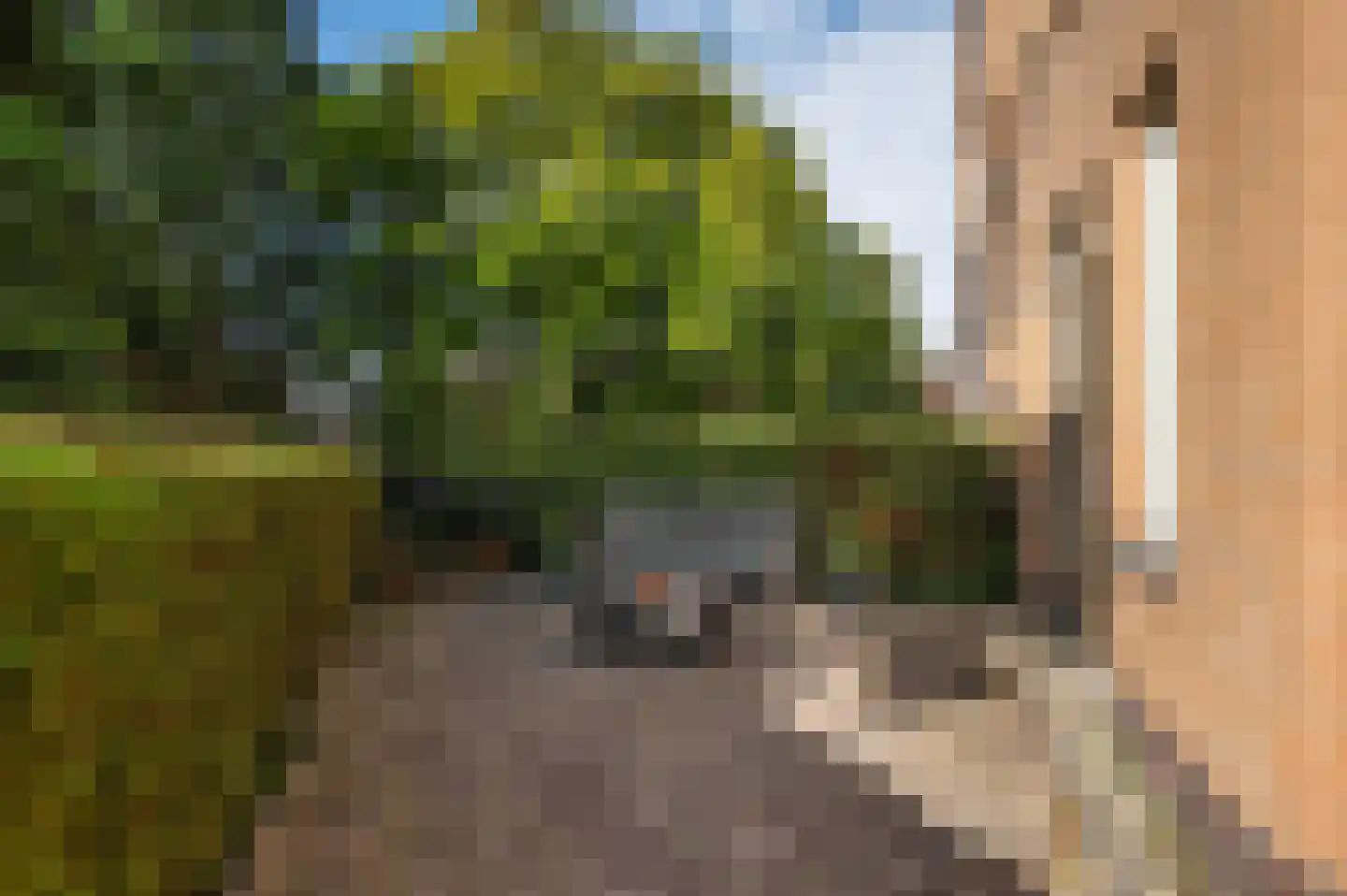Monseigneur van Steelaan 1 Voorburg thumbnail 5