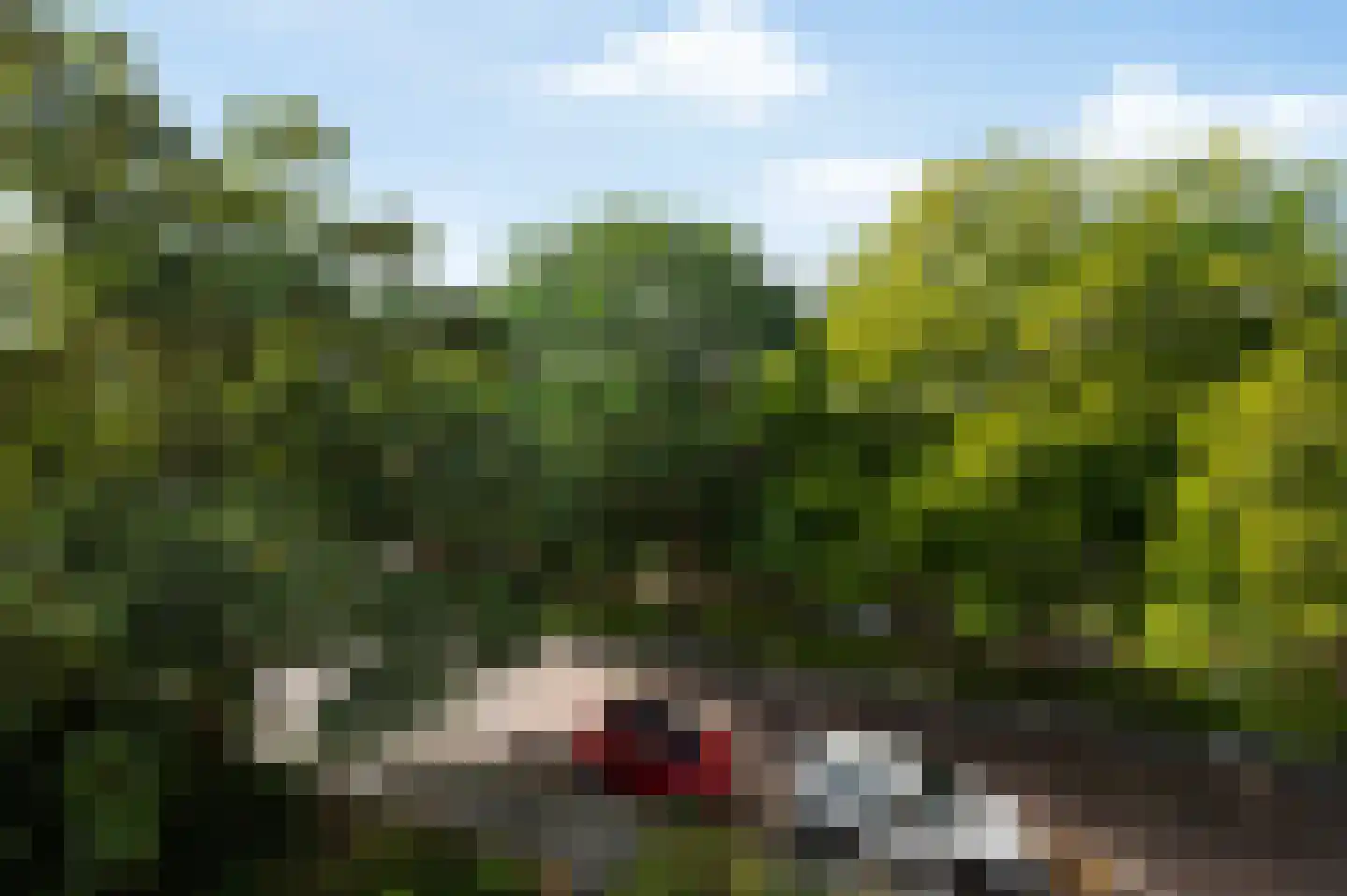 Monseigneur van Steelaan 1 Voorburg thumbnail 55