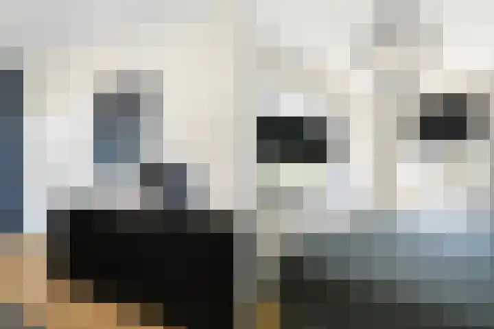 Monseigneur van Steelaan 104 Voorburg thumbnail 14