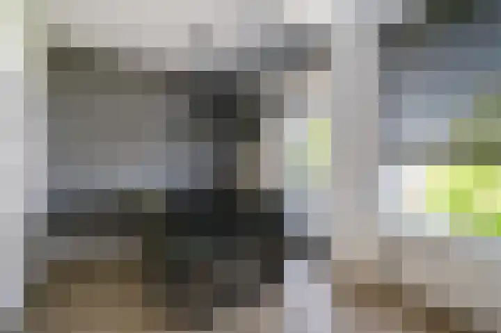Monseigneur van Steelaan 104 Voorburg thumbnail 5