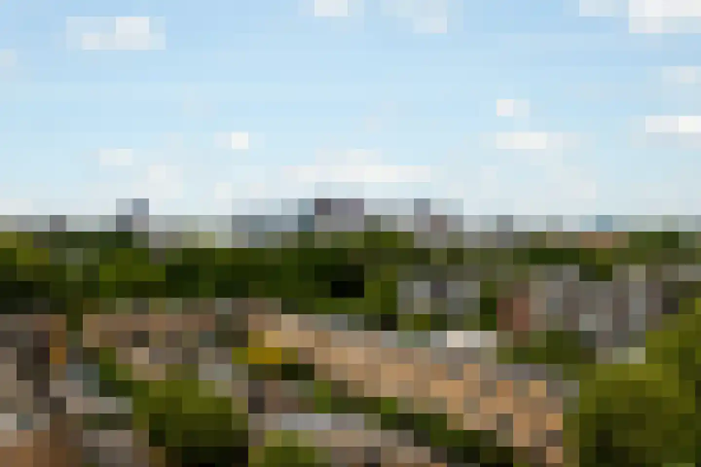 Monseigneur van Steelaan 111 Voorburg thumbnail 11