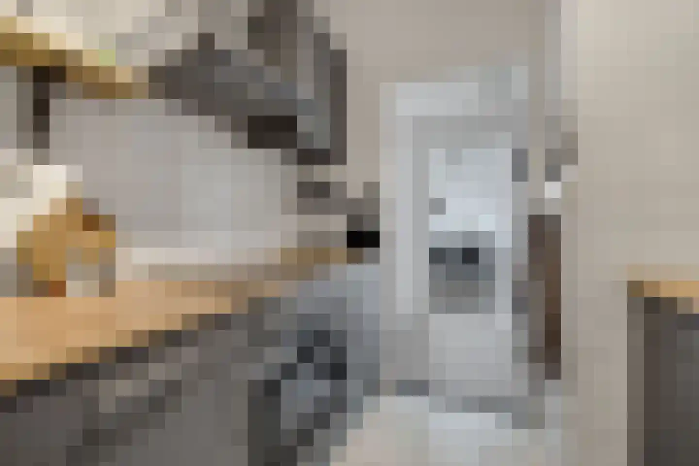 Monseigneur van Steelaan 111 Voorburg thumbnail 15