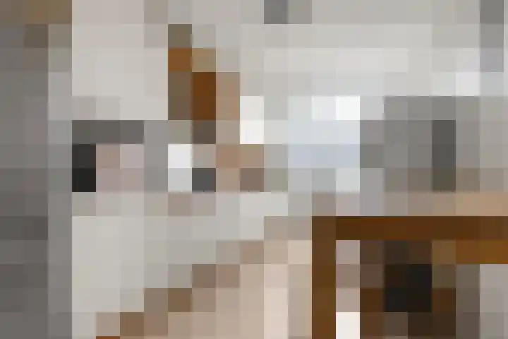 Monseigneur van Steelaan 134 Voorburg thumbnail 10