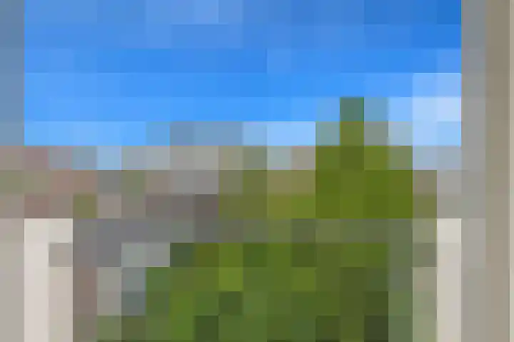 Monseigneur van Steelaan 134 Voorburg thumbnail 21