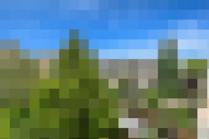 Monseigneur van Steelaan 134 Voorburg thumbnail 22