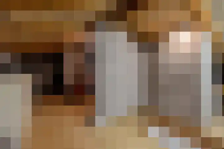 Monseigneur van Steelaan 134 Voorburg thumbnail 27
