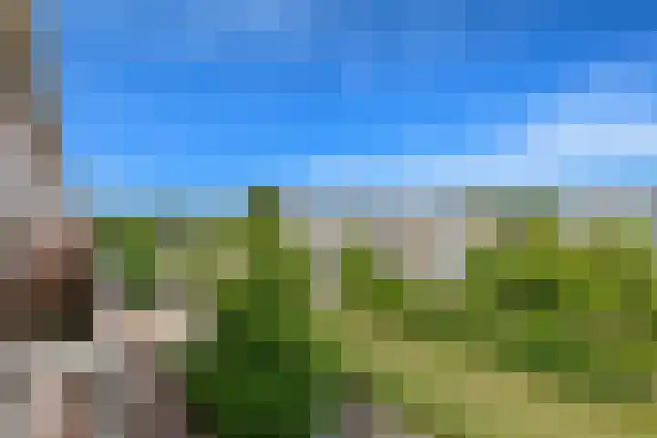 Monseigneur van Steelaan 134 Voorburg thumbnail 8