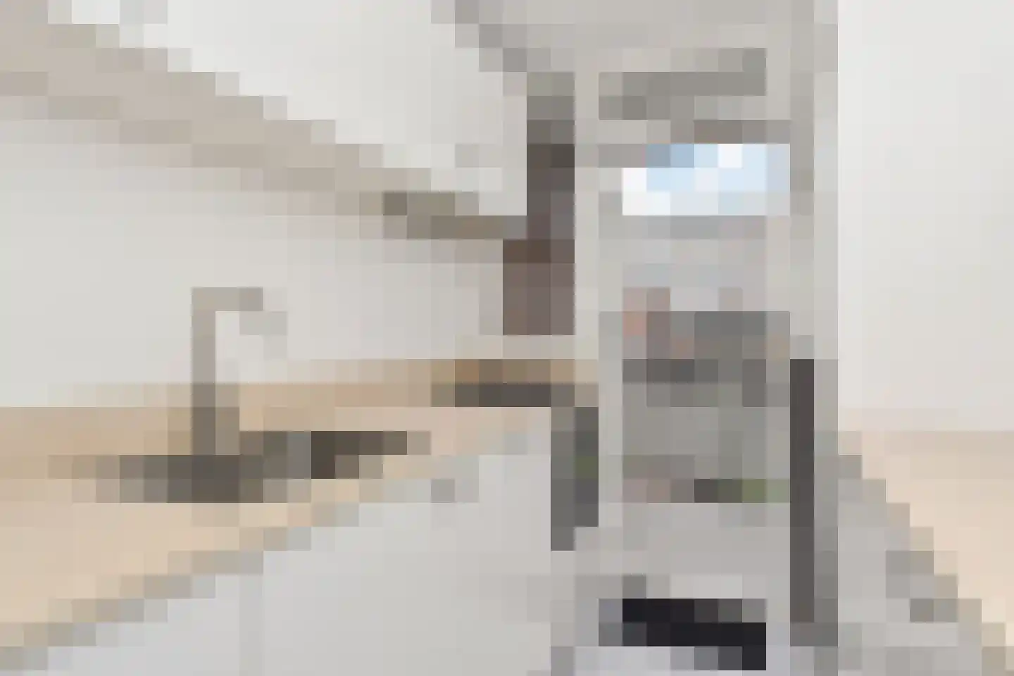 Monseigneur van Steelaan 146 Voorburg thumbnail 17