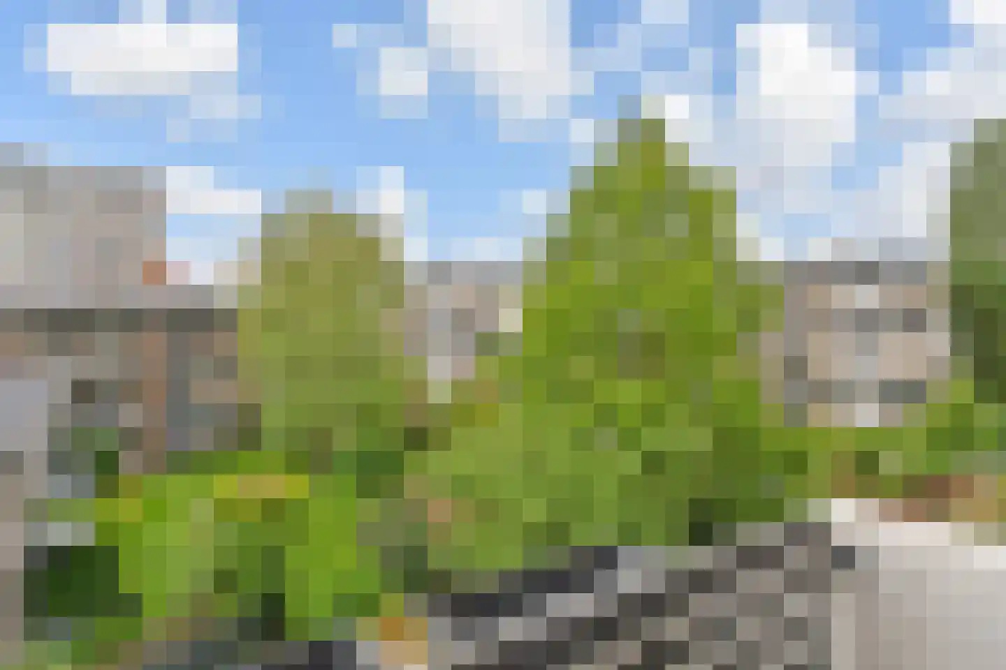 Monseigneur van Steelaan 146 Voorburg thumbnail 26