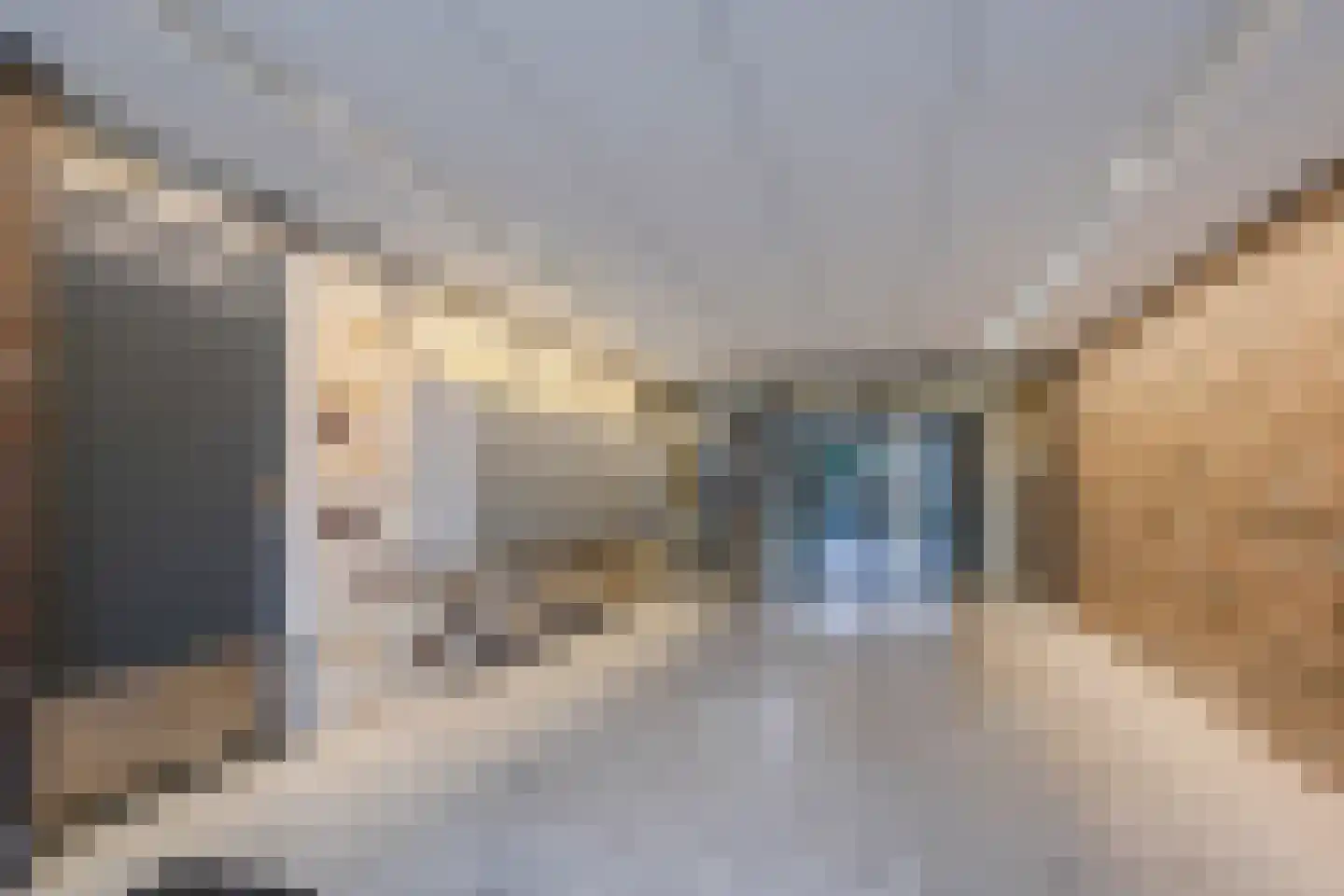 Monseigneur van Steelaan 151 Voorburg thumbnail 10