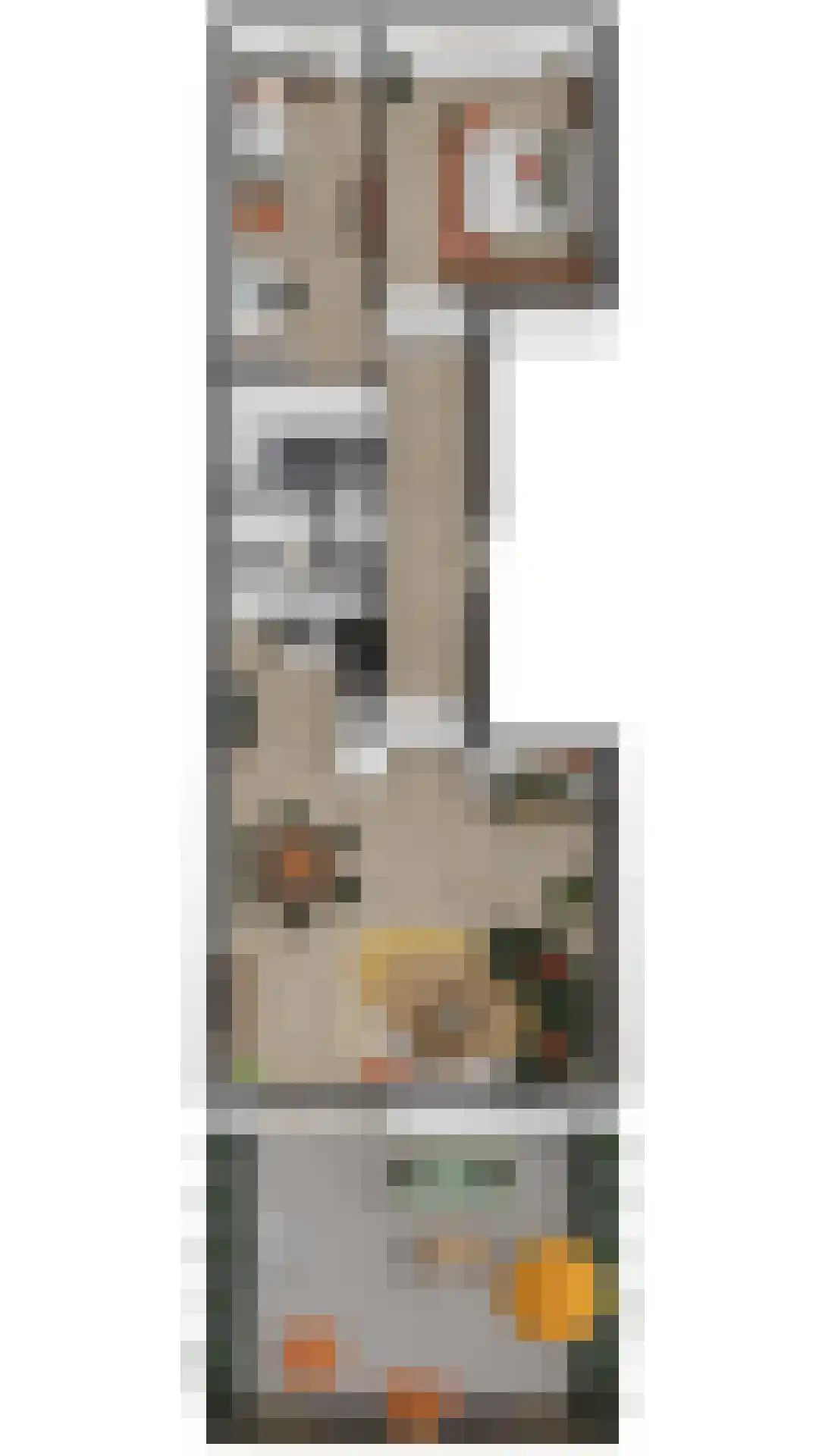 Monseigneur van Steelaan 151 Voorburg thumbnail 48
