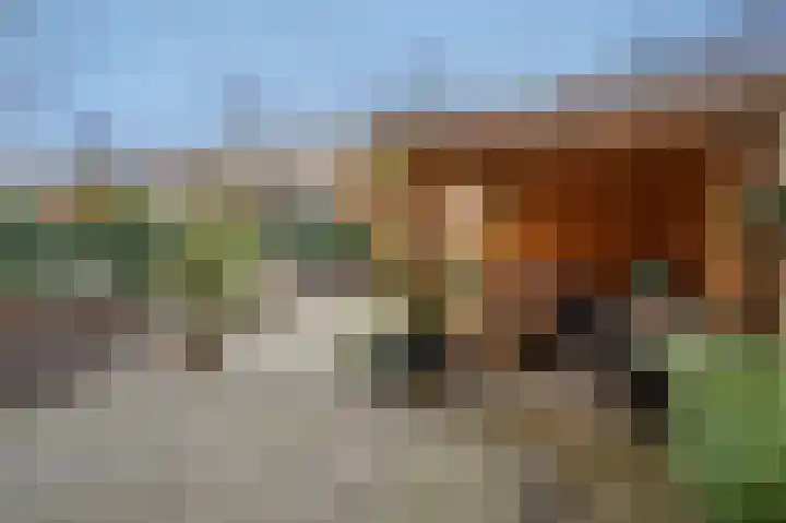Monseigneur van Steelaan 158 Voorburg thumbnail 22