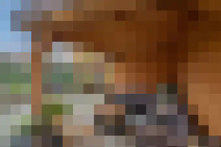 Monseigneur van Steelaan 158 Voorburg thumbnail 23