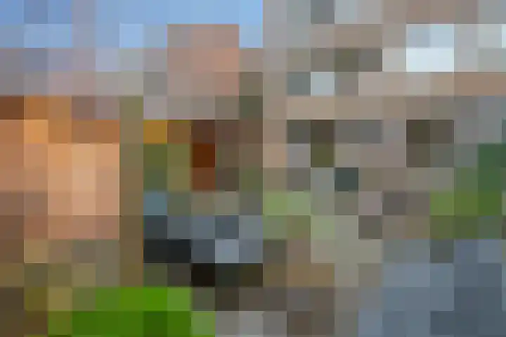 Monseigneur van Steelaan 158 Voorburg thumbnail 25