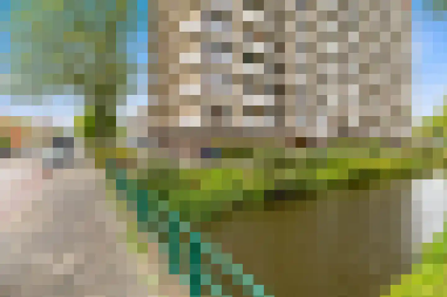 Monseigneur van Steelaan 163 Voorburg thumbnail 29