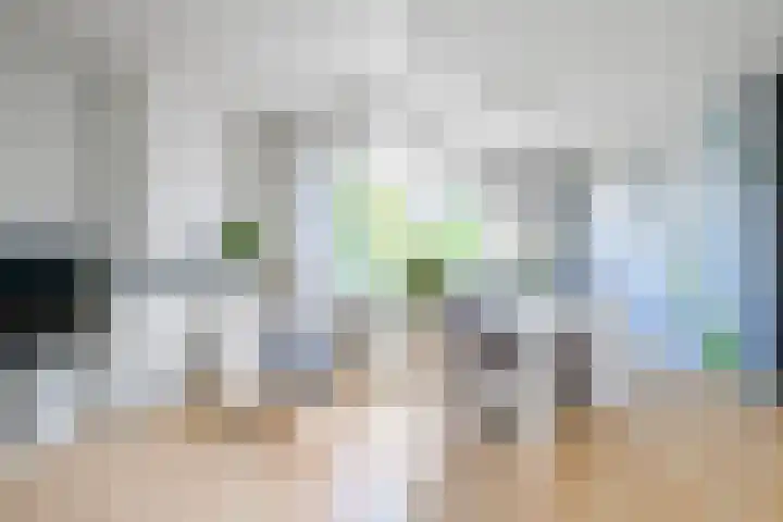 Monseigneur van Steelaan 17 Voorburg thumbnail 12