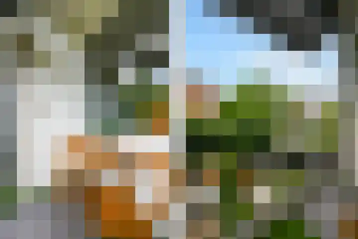 Monseigneur van Steelaan 17 Voorburg thumbnail 21