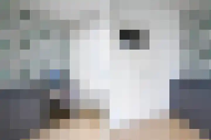 Monseigneur van Steelaan 17 Voorburg thumbnail 23