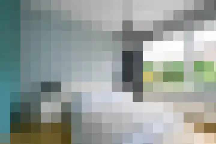 Monseigneur van Steelaan 17 Voorburg thumbnail 24
