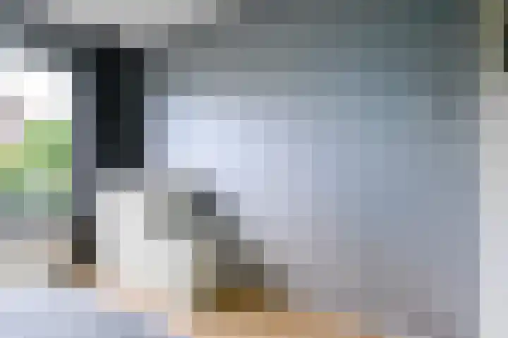 Monseigneur van Steelaan 17 Voorburg thumbnail 25