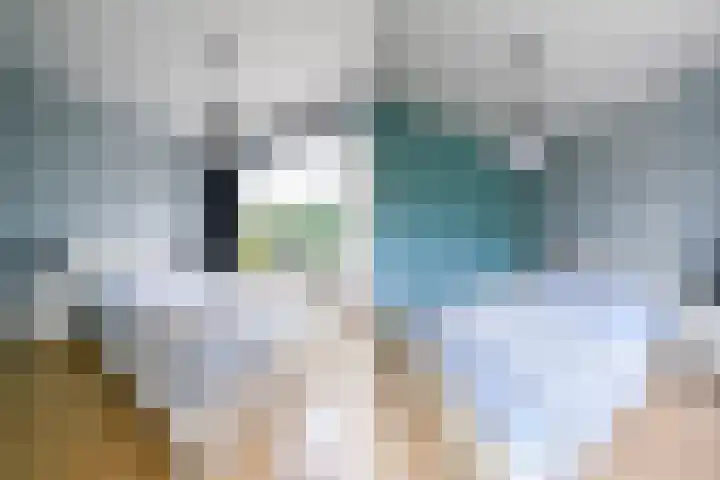 Monseigneur van Steelaan 17 Voorburg thumbnail 26