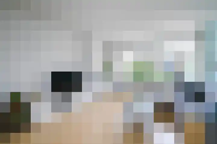 Monseigneur van Steelaan 17 Voorburg thumbnail 8
