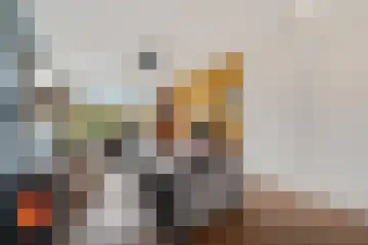 Monseigneur van Steelaan 186 Voorburg thumbnail 9