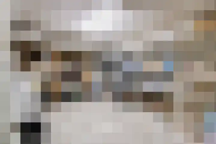 Monseigneur van Steelaan 194 Voorburg thumbnail 25
