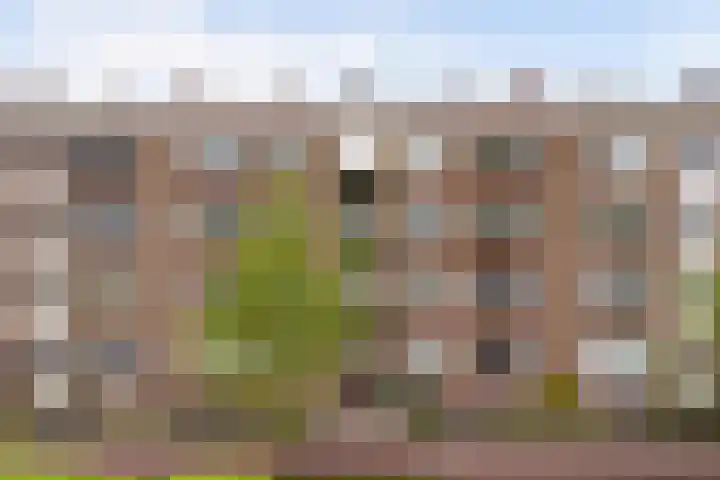 Monseigneur van Steelaan 194 Voorburg thumbnail 26